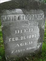 Stoddard, David